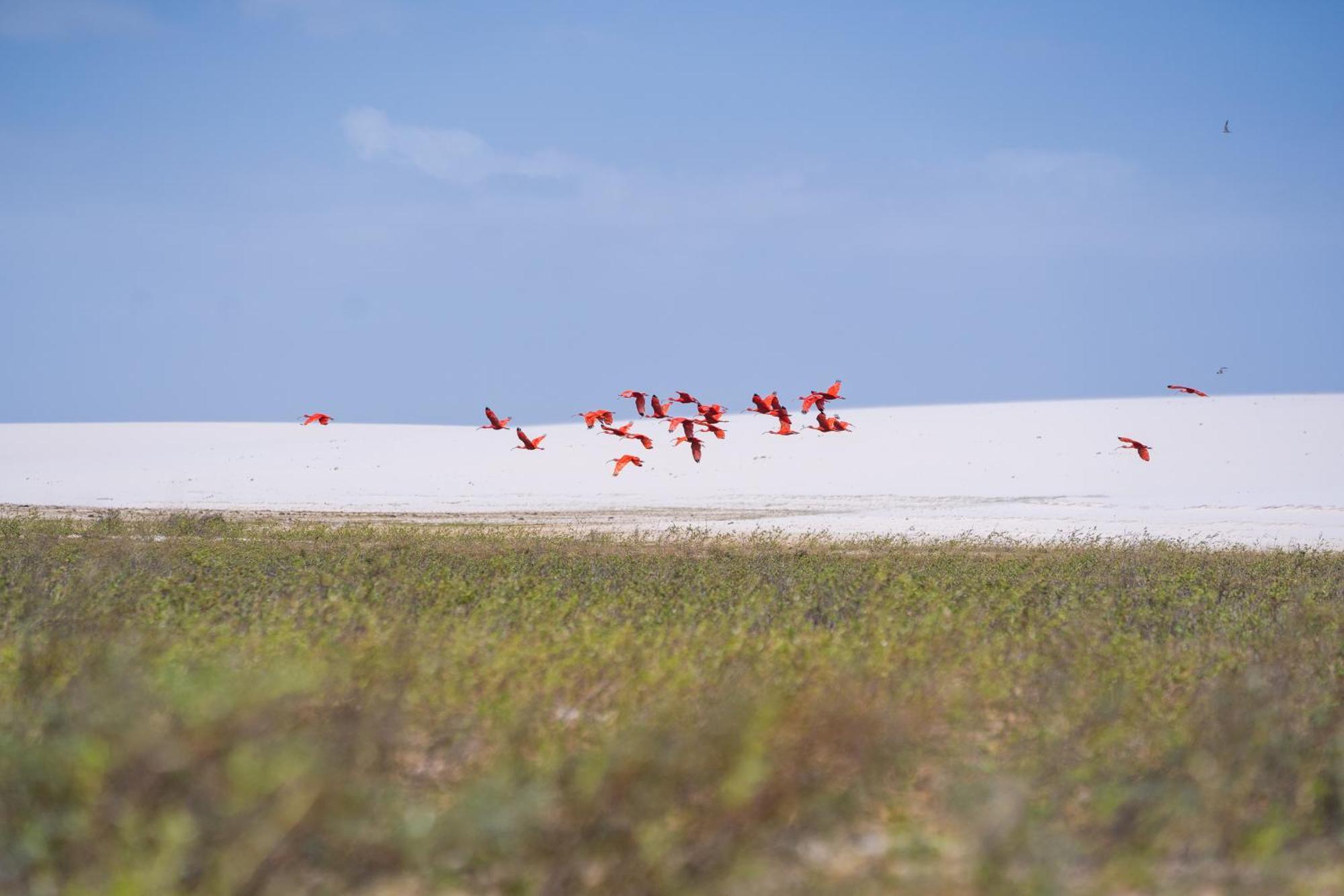 הוילה Santo Amaro do Maranhao Casa Aconchego Lencois מראה חיצוני תמונה